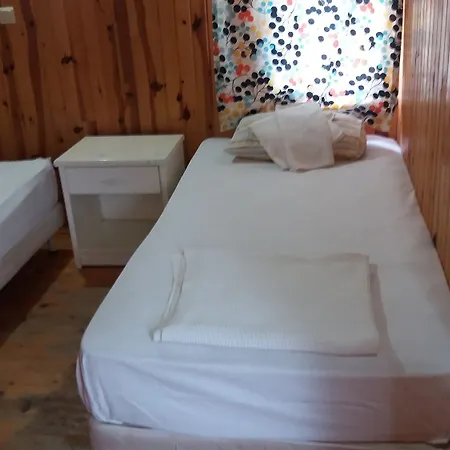 Jungle Bells Hotel