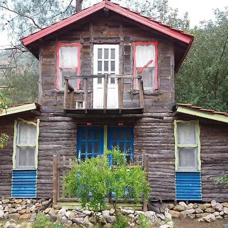 Jungle Bells Hotel *